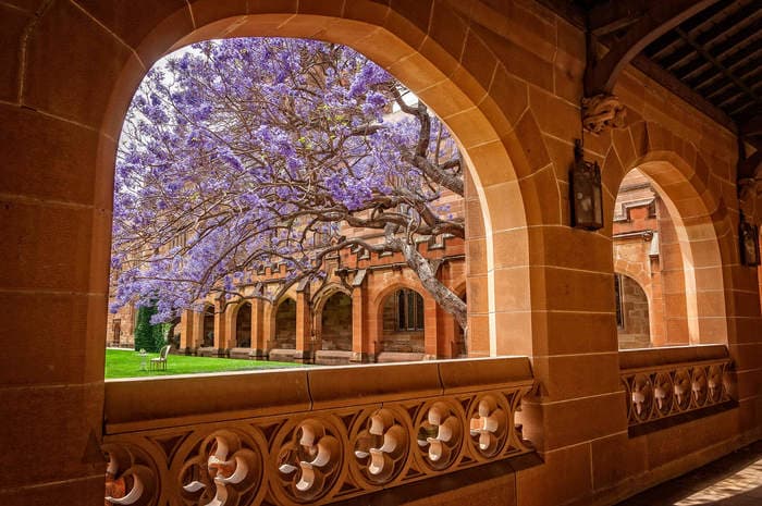Gov Jobs Sydney
